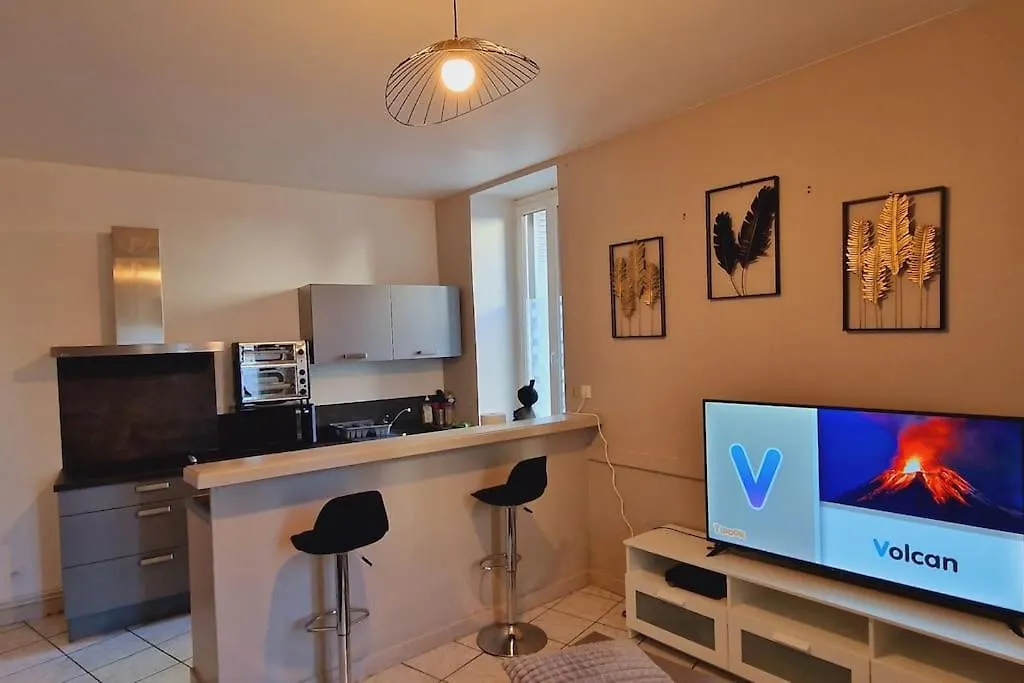 Appartement Cosy Proche De Toutes Commodites Clermont-Ferrand Apartment